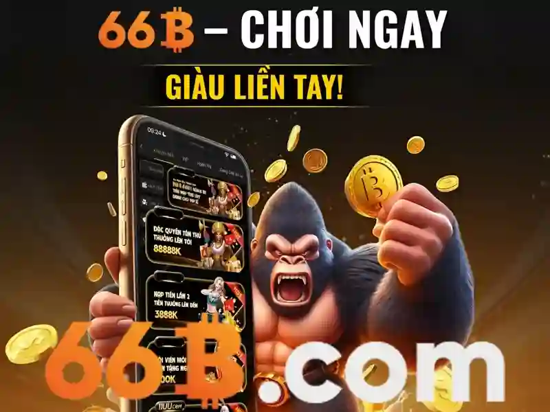 66b là gì và vì sao nó được quan tâm?