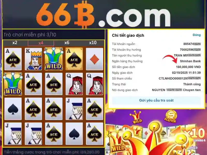 Kết luận và triển vọng của 66B