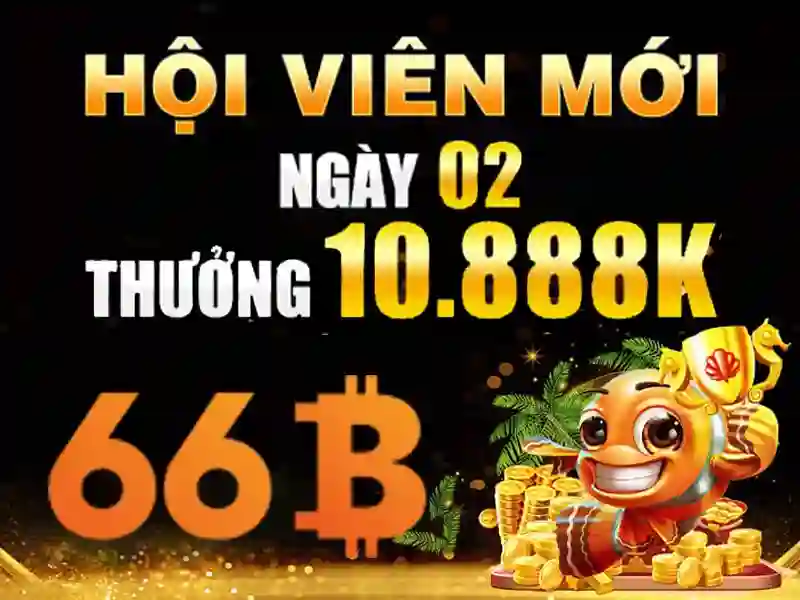 66b: khái niệm và ảnh hưởng của nó