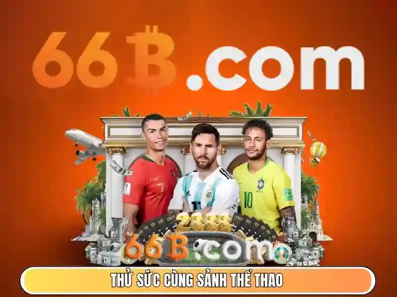 66b nguyễn sĩ sách tân bình – Chủ đề tổng quan và giá trị cốt lõi