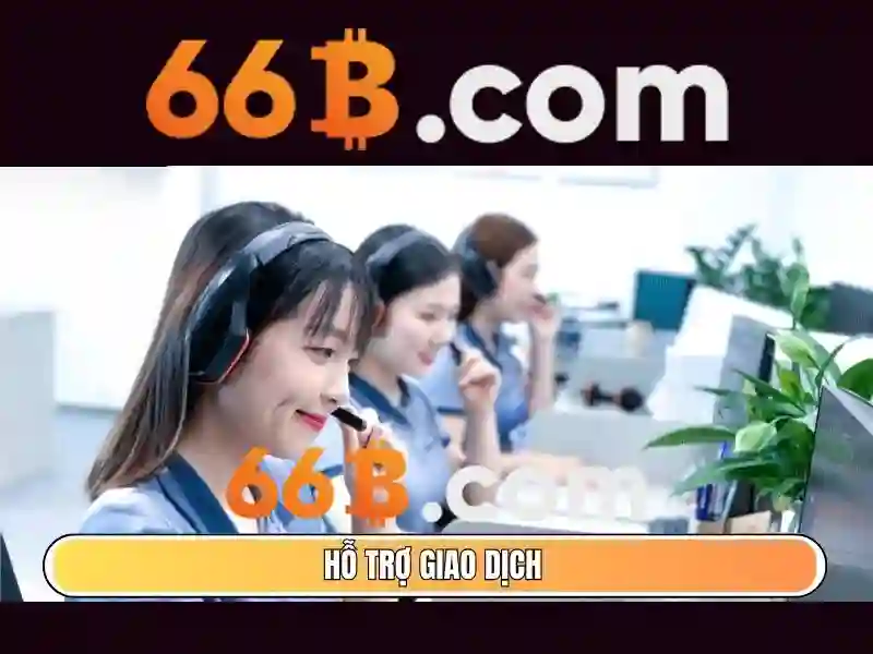 64b 66b – Nền tảng thương hiệu và trải nghiệm đột phá