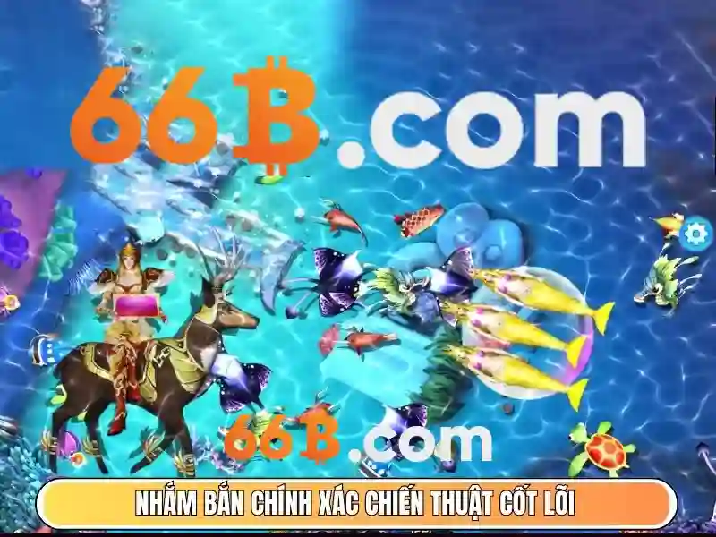 Đăng ký 66b - hành trình trải nghiệm và định hình tương lai