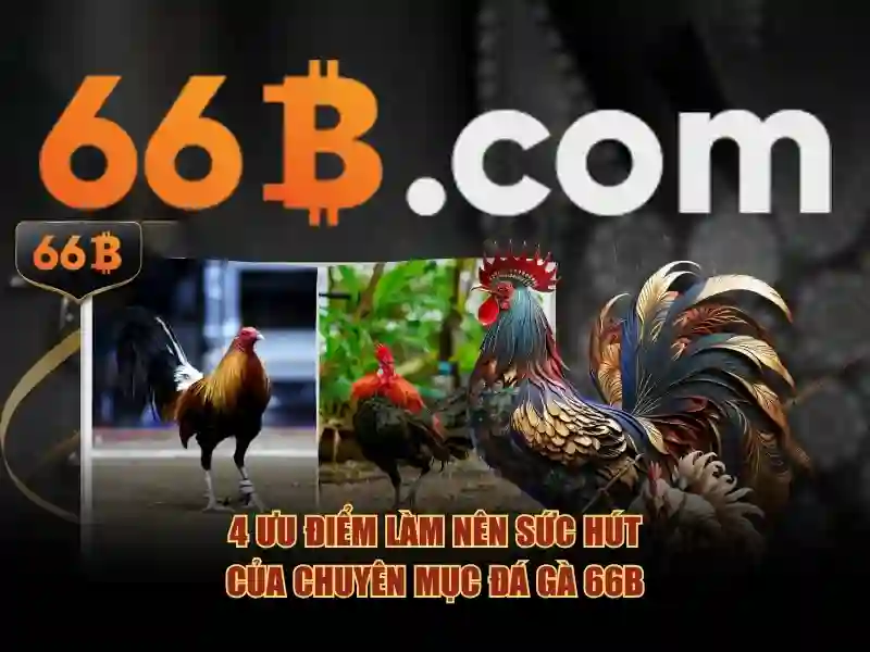 66b nguyễn sĩ sách phường 15 quận tân bình – chủ đề và giá trị