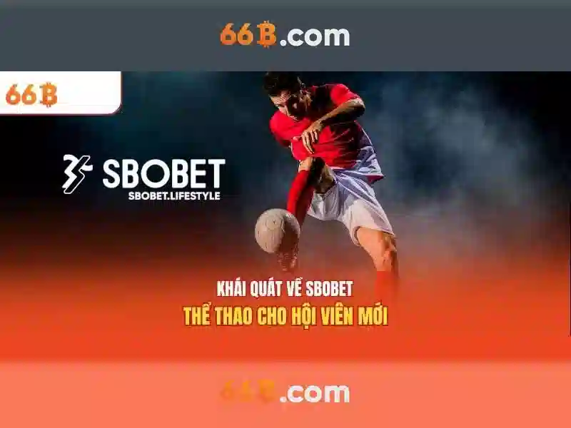 66B: Hiểu rõ về mô hình có 66 tỷ tham số