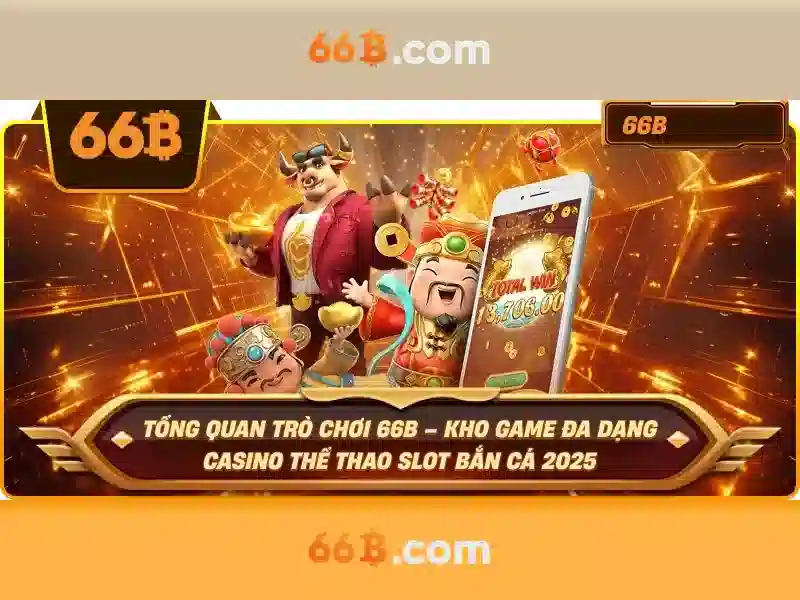 66B là gì?
