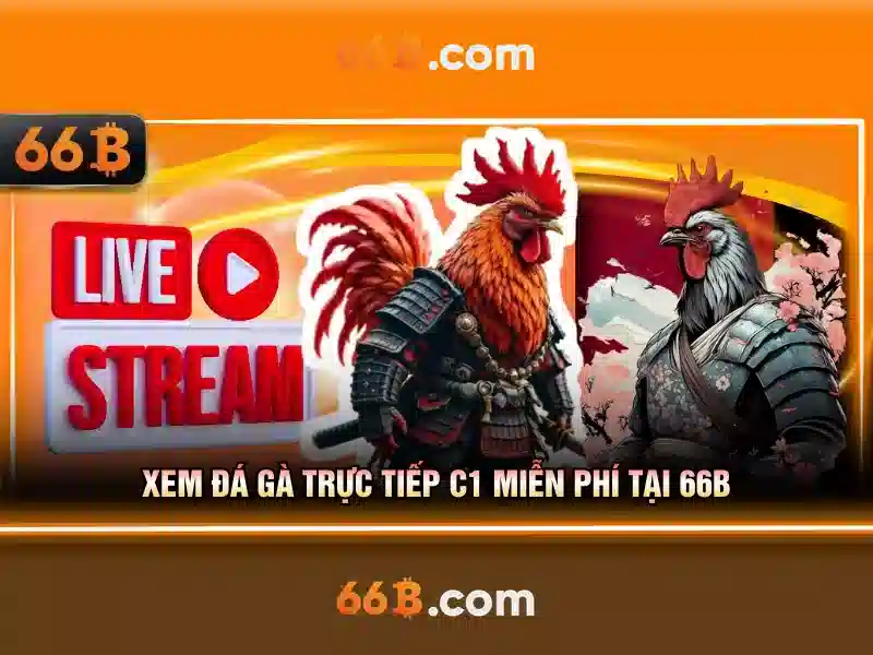 66b: Khai thác ý nghĩa và nguồn gốc