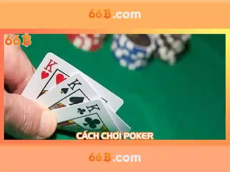 66b là gì và những ứng dụng nổi bật