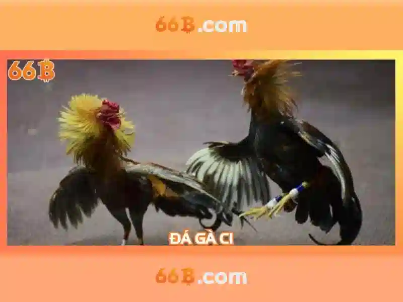 Chinh_sach_bao_mat_66b