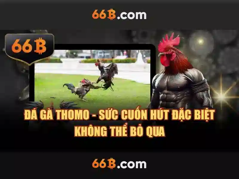 66b cách mạng tháng 8 phường 6 quận 3 – Tổng quan chủ đề và giá trị cốt lõi