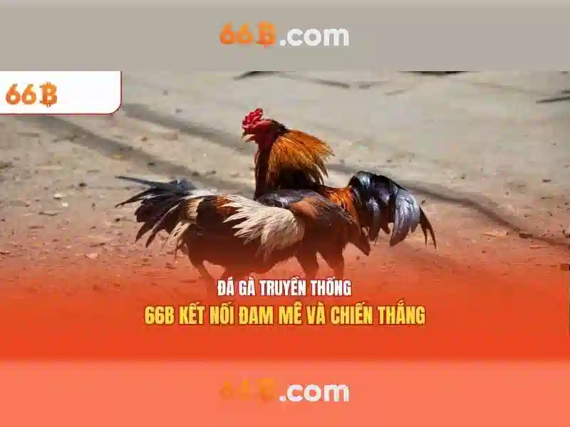 Tải 66b – Trải nghiệm đầy động lực với cờ vua 66b