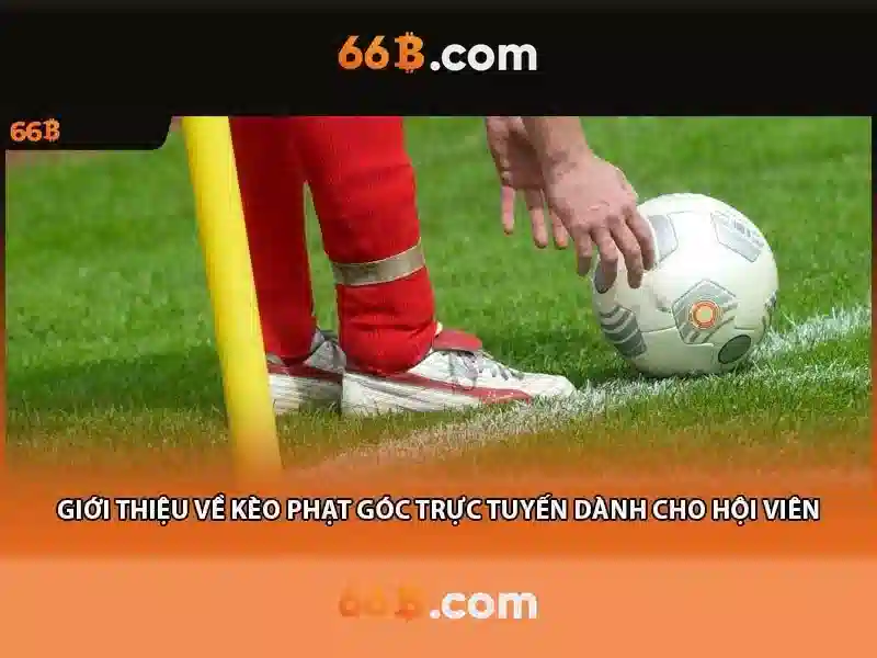 Giới thiệu về 66B\n
