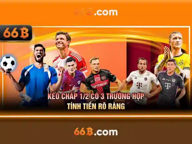 Kiến trúc và khả năng của 66b\n