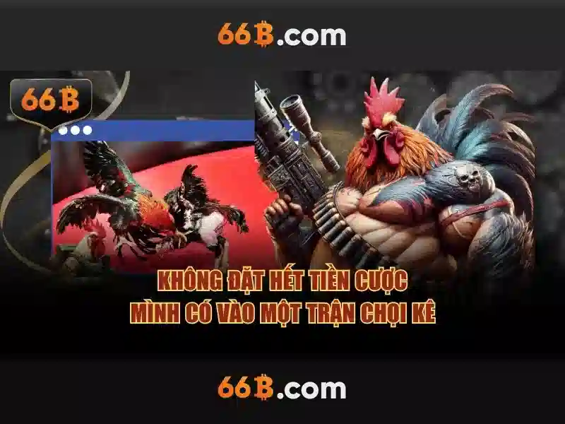 Tổng quan về 66b vip và giá trị cốt lõi