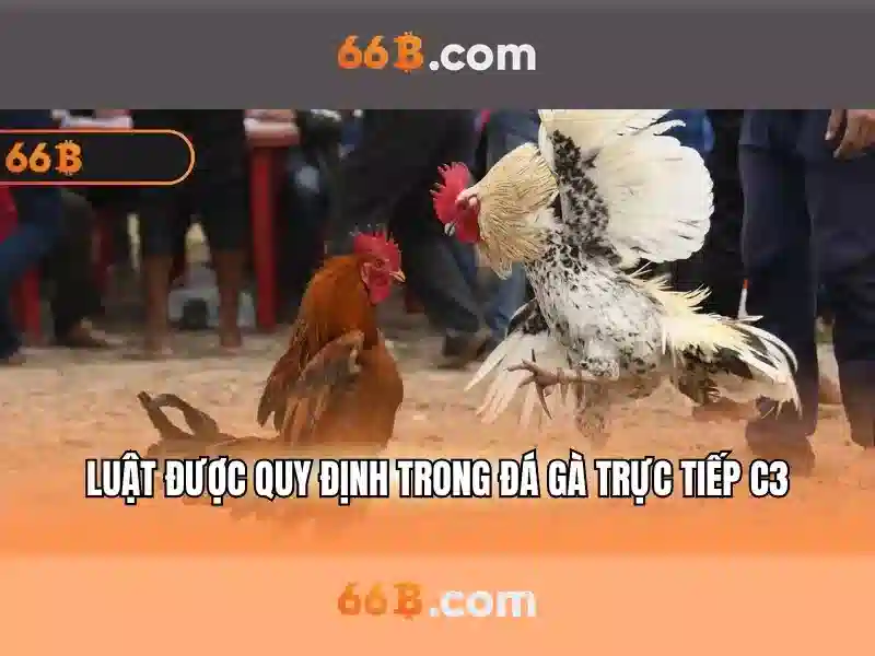 66b phan đăng lưu phú nhuận tp hcm – Tổng quan chủ đề và giá trị cốt lõi