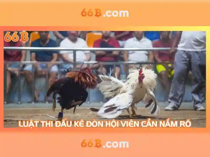 66b nhà cái - Trải nghiệm đỉnh cao và cập nhật