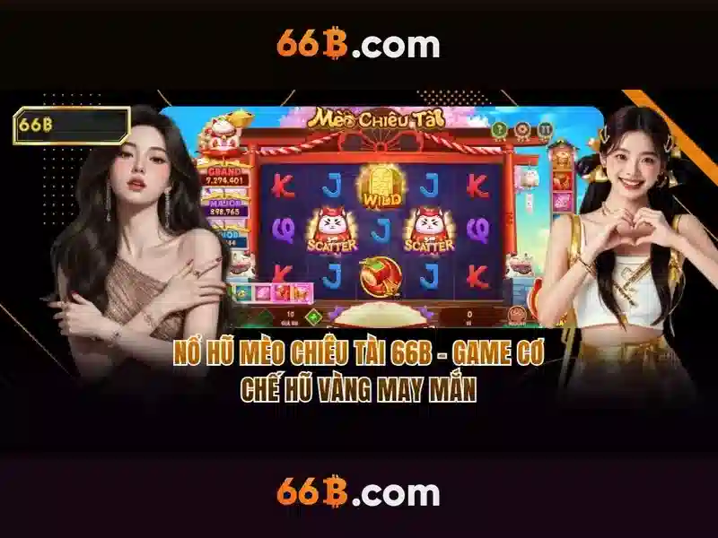 66b là gì trong ngữ cảnh công nghệ và toán học