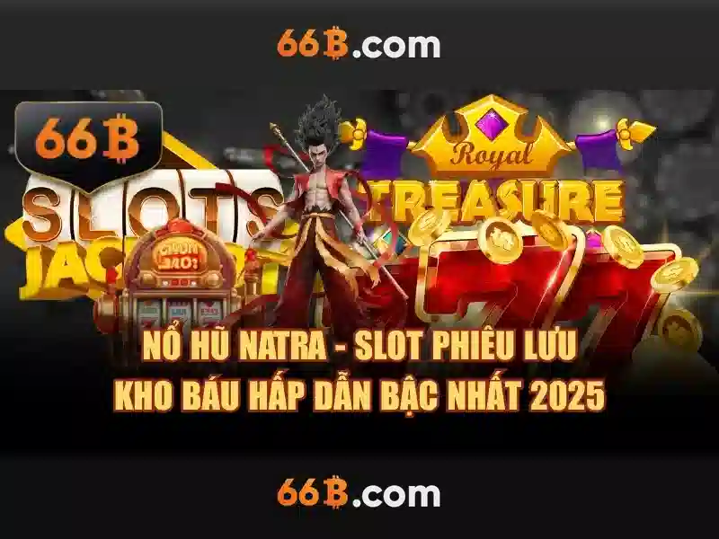 66B là gì?\n