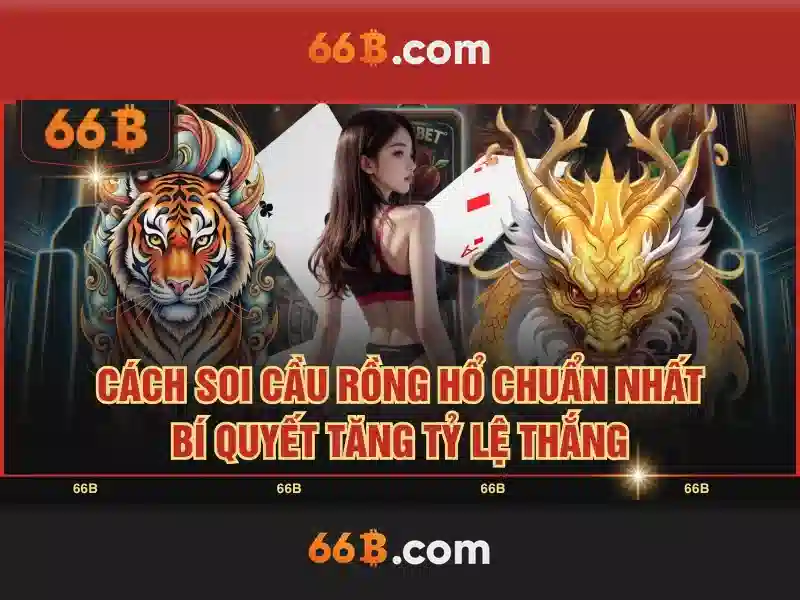 Cấu trúc và quy mô của 66B