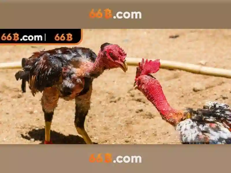 Khả năng và ứng dụng