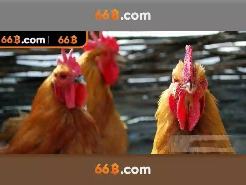66B: Kích thước, kiến trúc và ứng dụng trong AI hiện đại