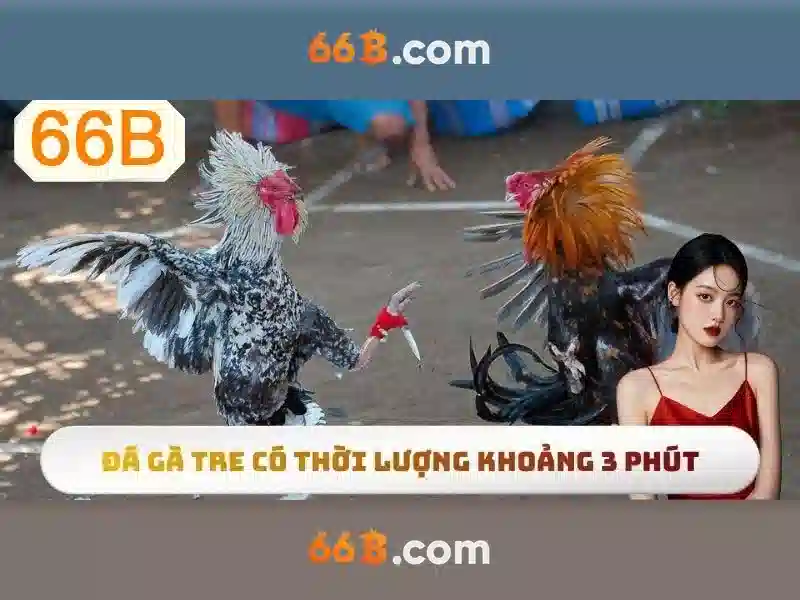 Hiểu biết cơ bản về 66b