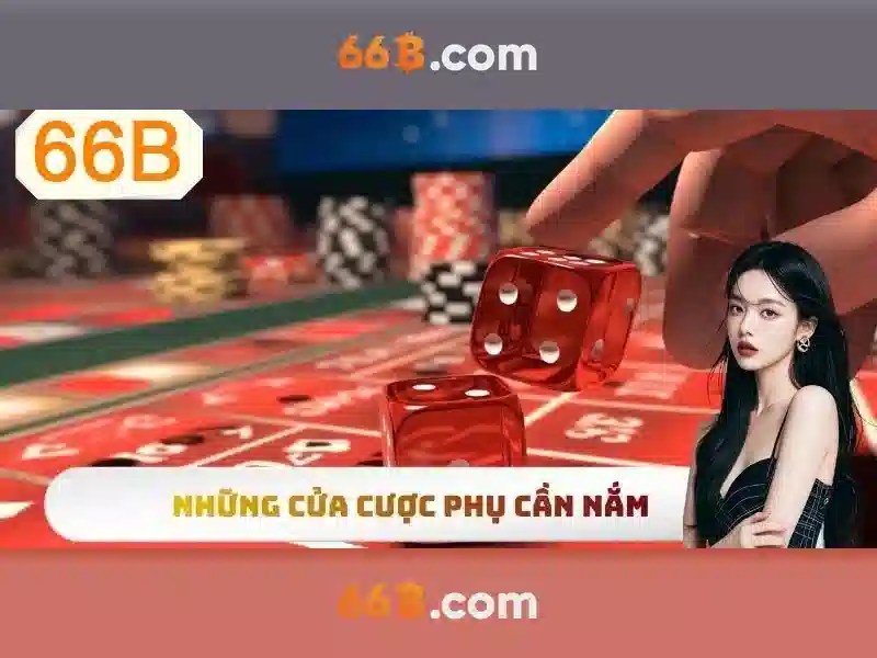 66b: Khái niệm và ứng dụng trong công nghệ số