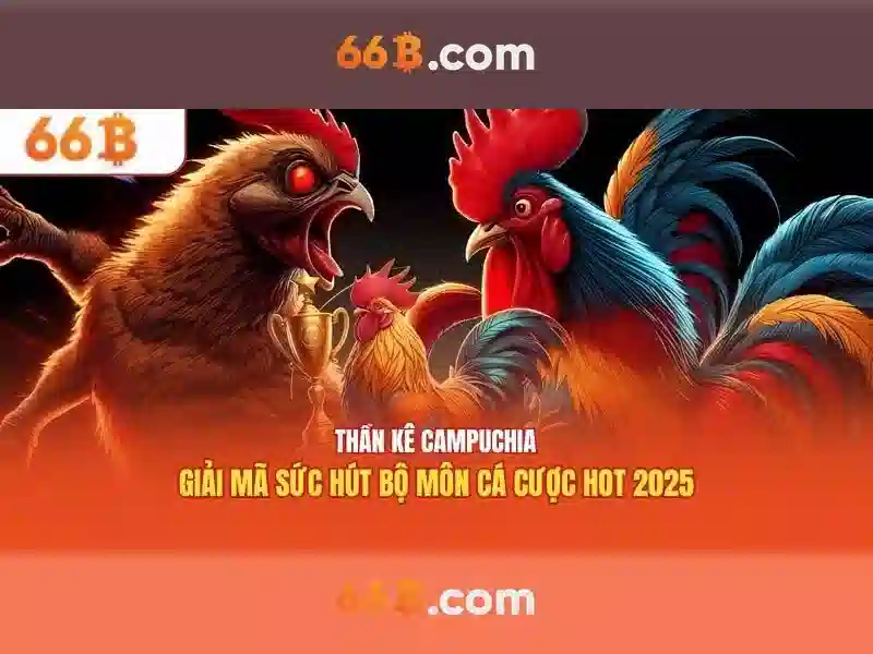 66B: Khái niệm và ứng dụng