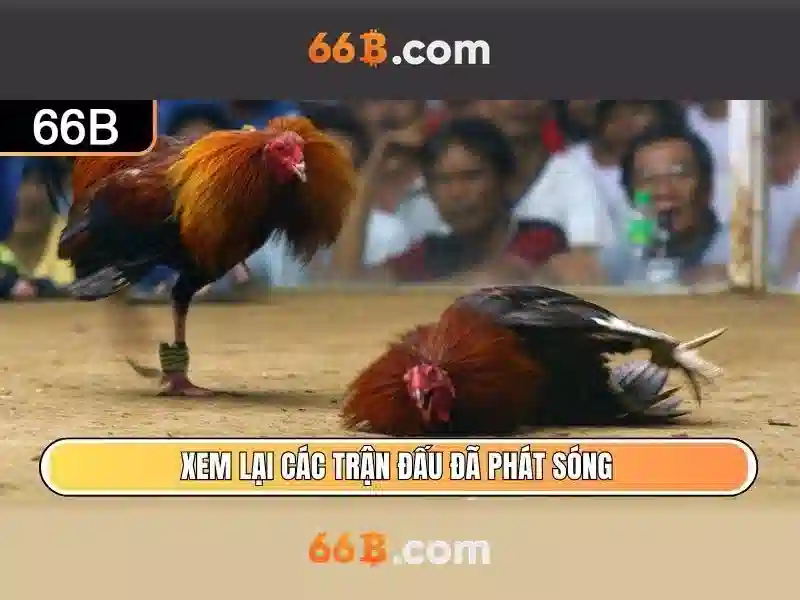 66b nguyễn thi sách – Trải nghiệm và giá trị thương hiệu