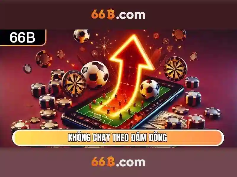 Giới thiệu về 66b\n\n