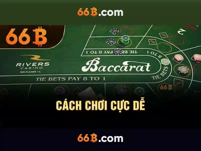 66b: Mô hình AI 66 tỷ tham số và hành trình của nó