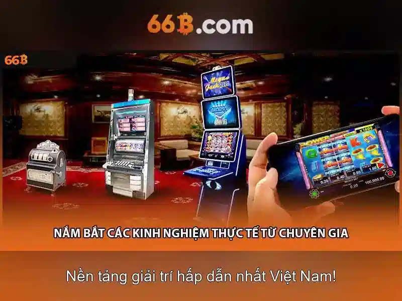 66b là gì và vì sao nó được nhắc đến