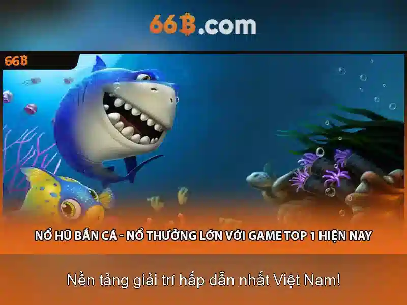 66b là gì?