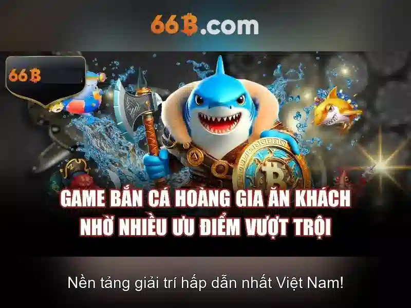 66b là gì và tại sao được chú ý