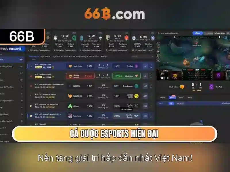 66b là gì và vì sao nó quan trọng