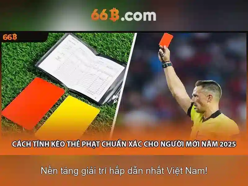 66B là gì và vì sao nó được quan tâm