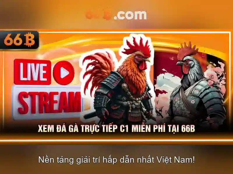 66B: Mô hình ngôn ngữ quy mô lớn với 66 tỷ tham số và những điều cần biết