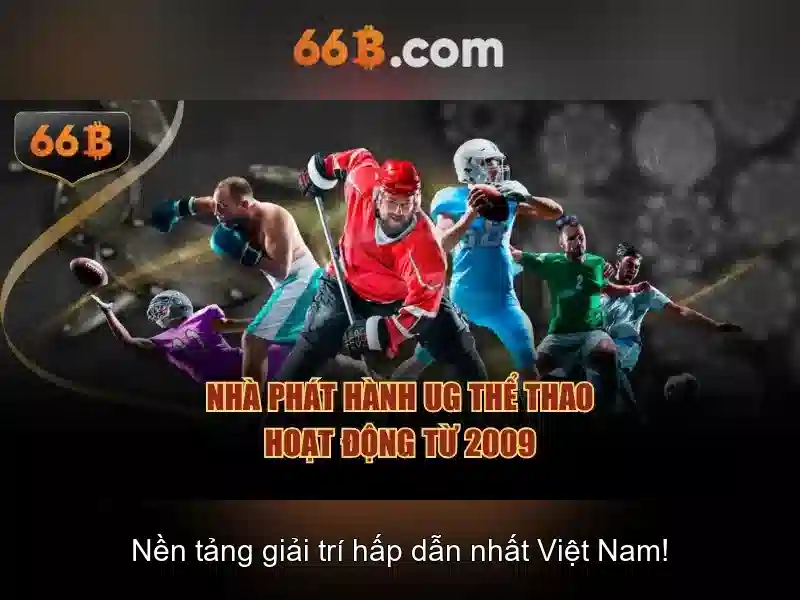 66b là gì và ứng dụng