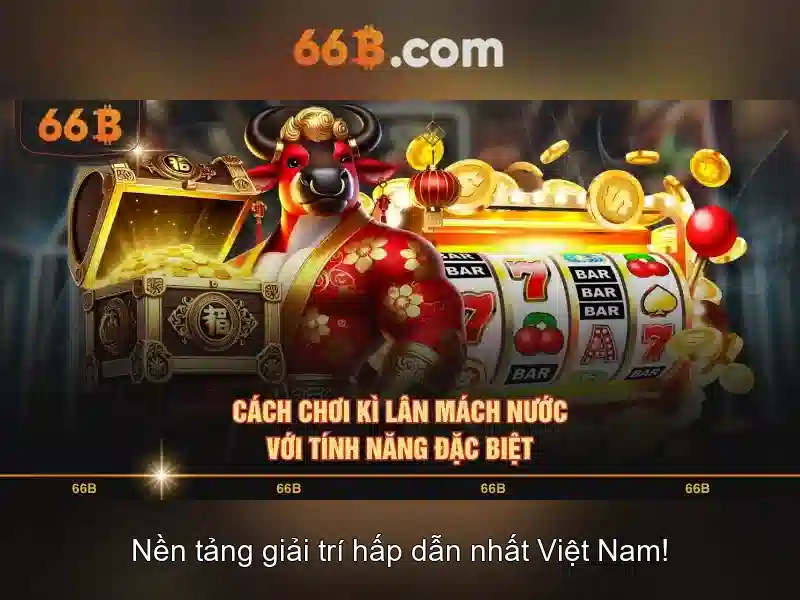 66b: một khái niệm đa diện