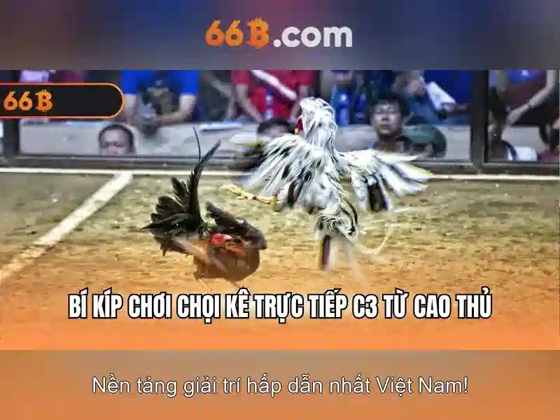 Kiến trúc và tham số