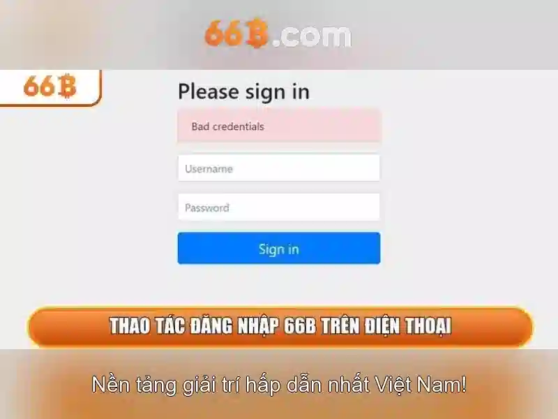 66B là gì?\n