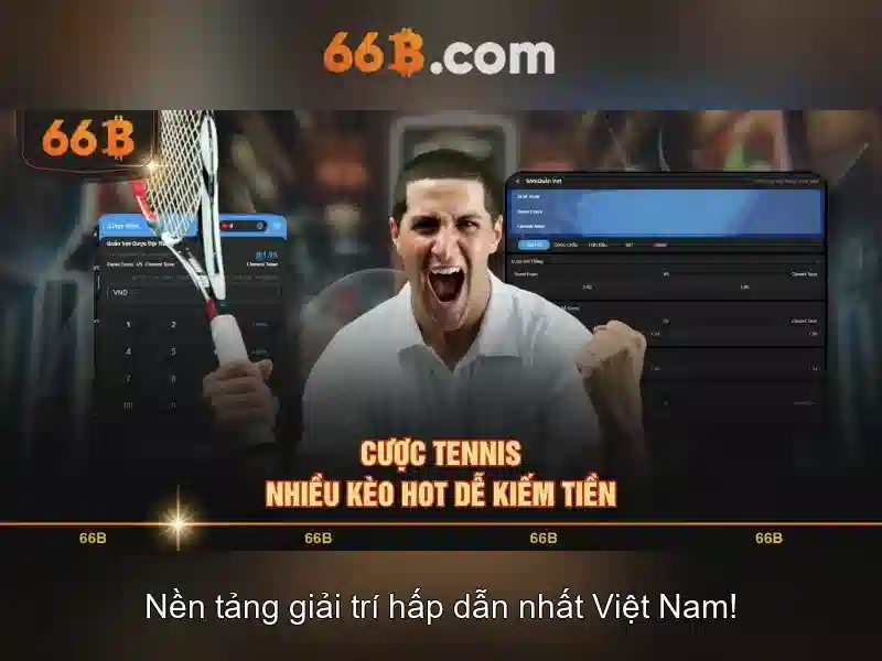 Tác động xã hội và tương lai của 66b\n