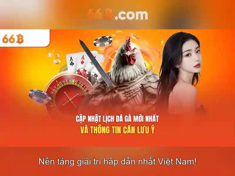 66b là gì?