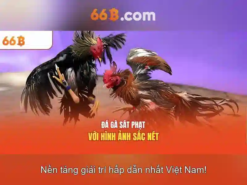 66B: Mô hình ngôn ngữ quy mô lớn với 66 tỷ tham số và những điều cần biết