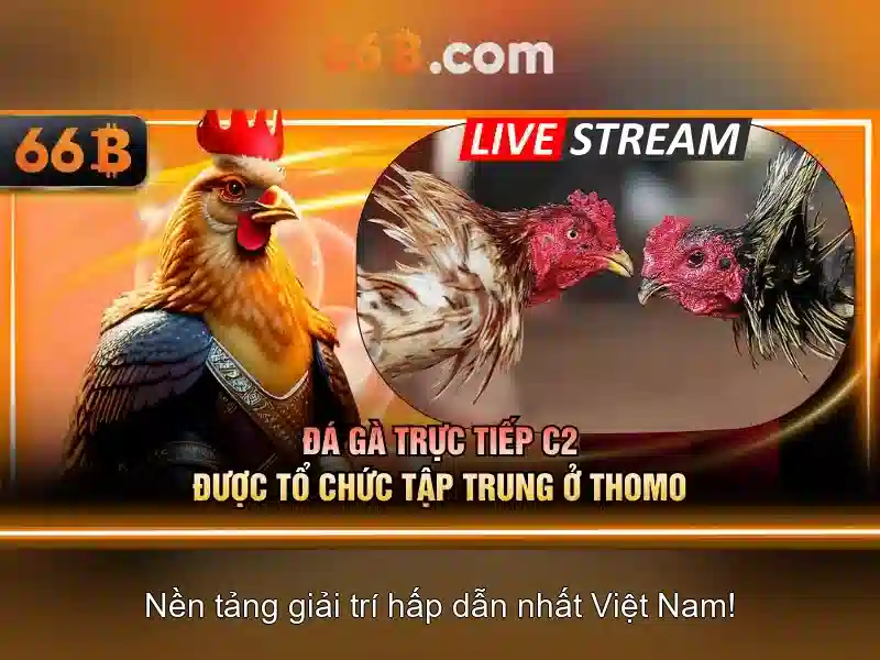 66B: Mô hình ngôn ngữ quy mô lớn và những điều bạn cần biết