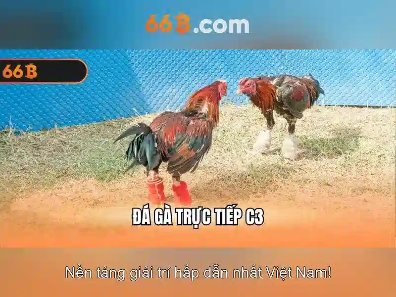 Quy mô và hiệu năng