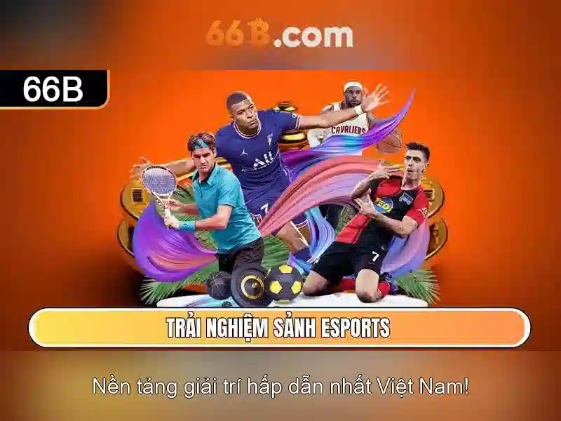 Ứng dụng thực tế của 66b trong doanh nghiệp