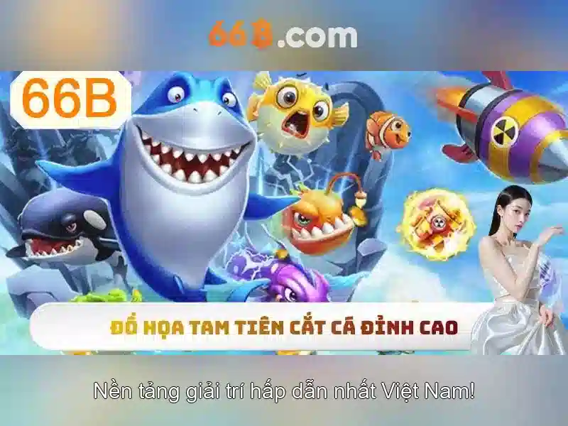 66b là gì và ý nghĩa của nó trong thế giới số