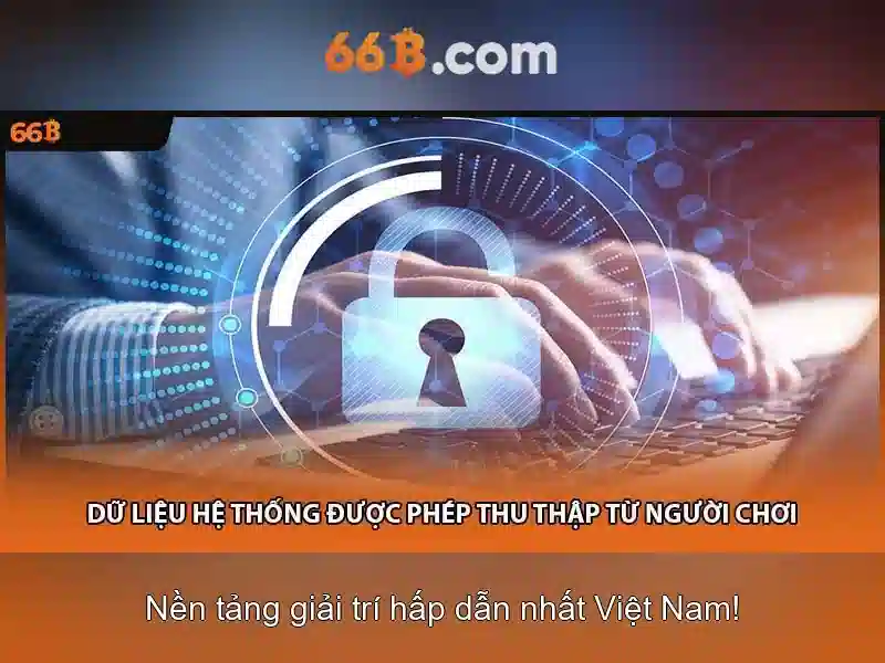 66b trong công nghệ số\n
