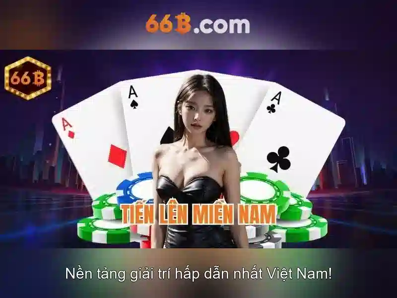Khái niệm và kích thước của mô hình 66B