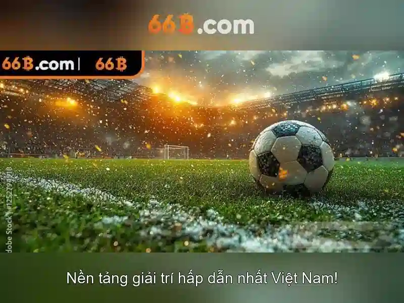 66b là gì?